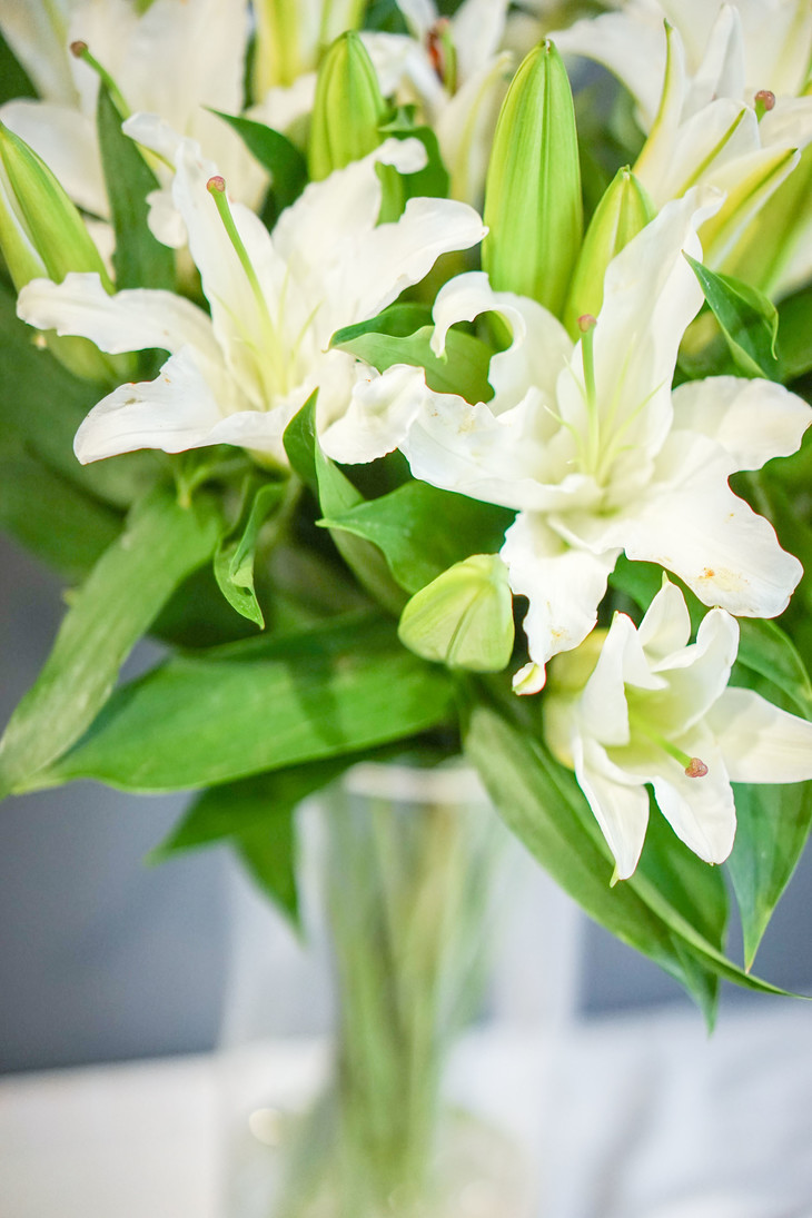 百合花的花多为白色,呈漏斗形,单生于花茎的顶端用途百合花主要用来