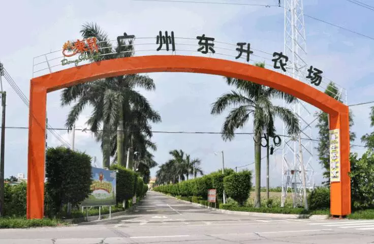 (4大 2小)东升农场自驾游 2(百蔬园-摘菜-动物小镇-菜壹楼)