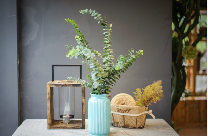 家庭瓶养 单品 【尤加利叶】1把