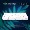 Napattiga娜帕蒂卡 天然儿童健康乳胶枕头KP 商品缩略图2