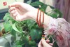天然南红柿子红【芳华如梦】项链、手串两用款 | 绝对出众，回头率超高 | 主珠直径5.2mm 商品缩略图0