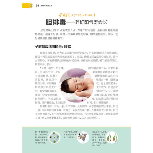 五脏排毒养生法 排毒书籍大全排毒美颜美容养生大全书美白书籍养生书籍大全养生书籍女人美容养生书籍五脏六腑养生的书籍五脏排毒 商品图3