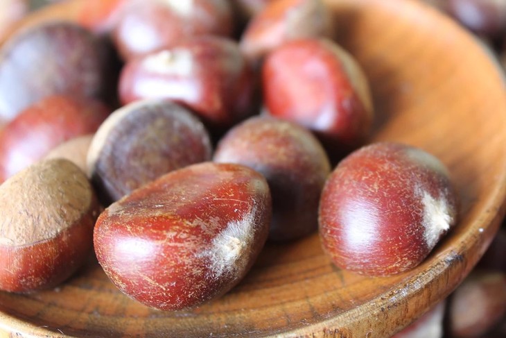 黄山野生带壳板栗 (500g/盒) 七约农场提供