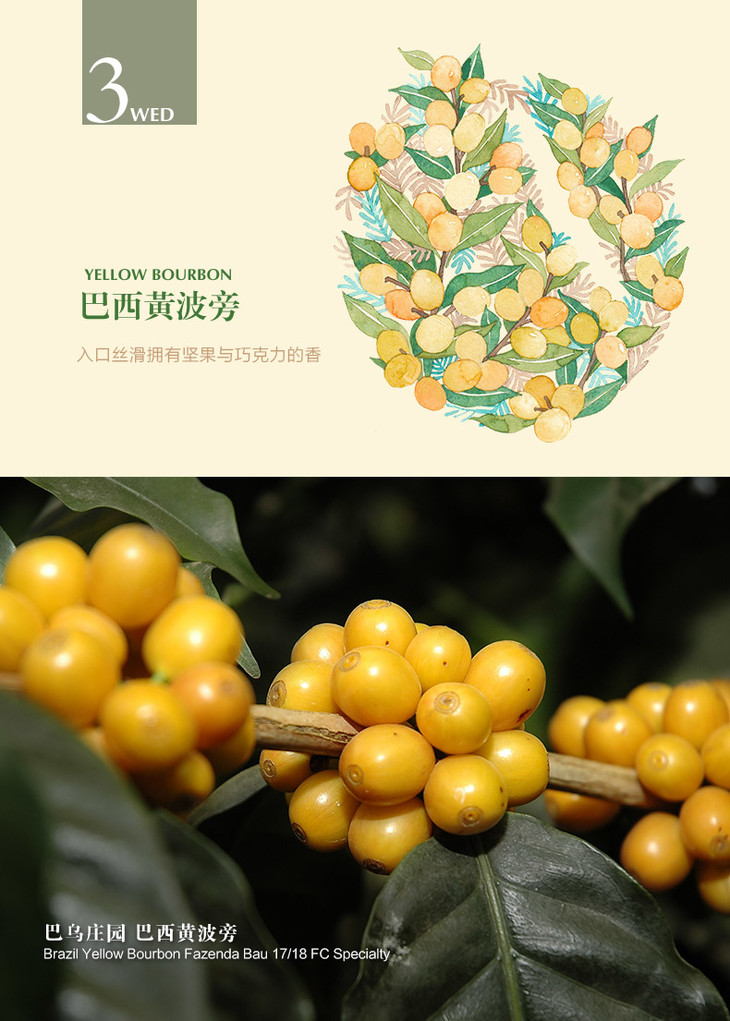 巴西黄波旁·柔 227g