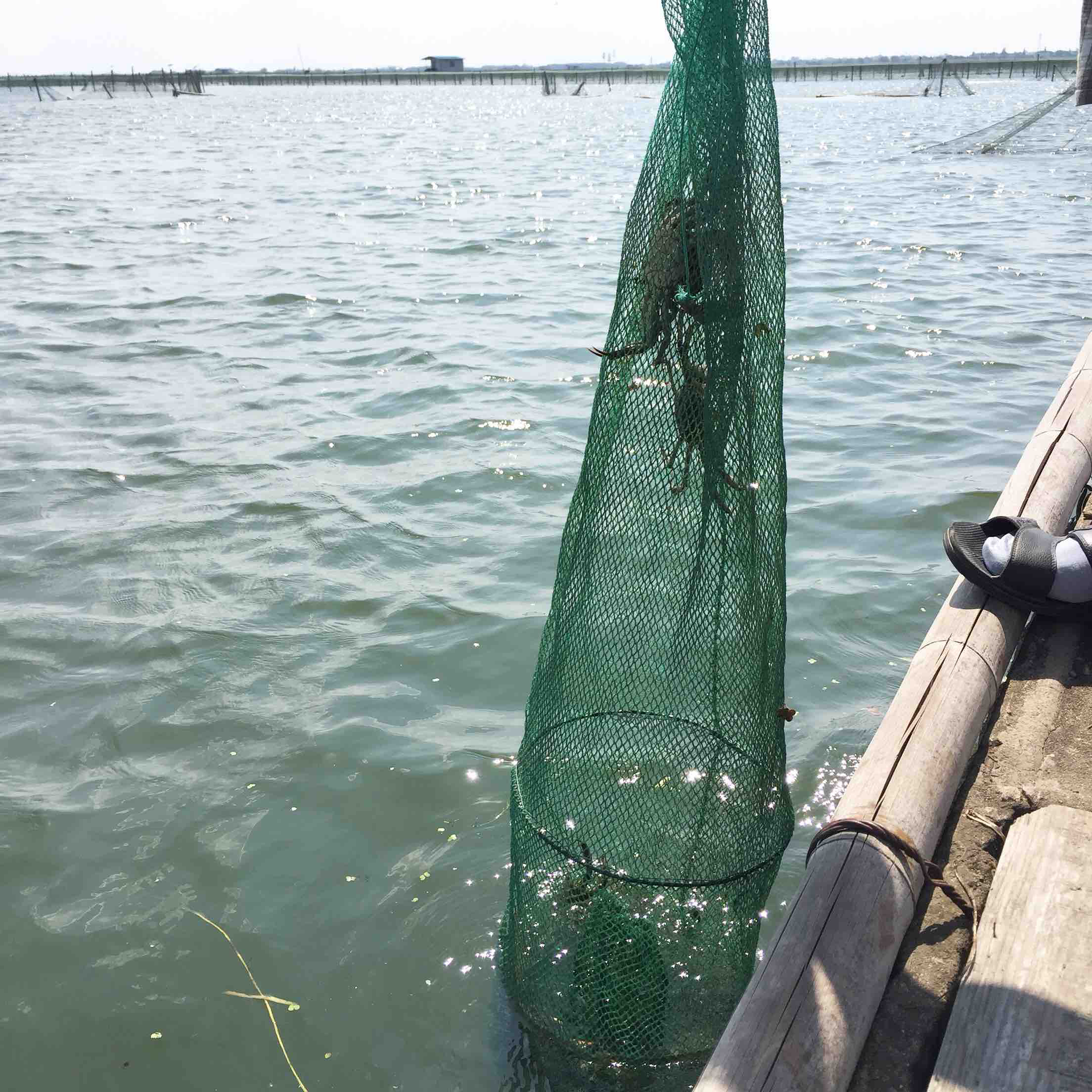 捕螃蟹地笼什么样的好,捕青蟹用什么地笼,捕河蟹用什么样的笼子(第2页)_大山谷图库