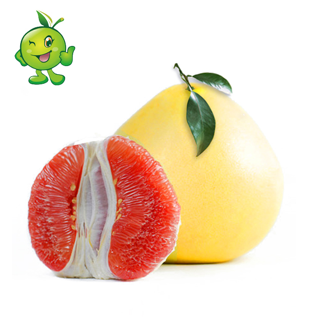 【会员特惠】 三红蜜柚1个装1500G(9.9元\/斤)