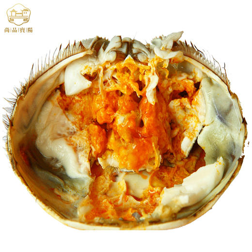 【顺丰包邮】湖北汈汊湖,阳澄湖大闸蟹 8只装 送4件套