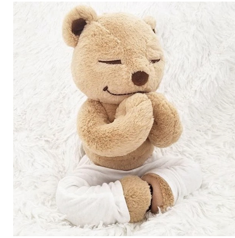 正版风靡欧美的瑜伽熊公仔meddy teddy内置高端软骨瑜伽泰迪包邮