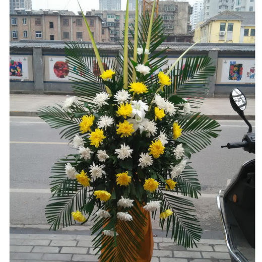 祭祀喪事菊花花籃掃墓祭奠追悼念鮮花速遞同城清明節重陽節祭祖