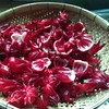 生态洛神花茶 | 绿家自产*Ecological dried roselle | Self-production 商品缩略图3