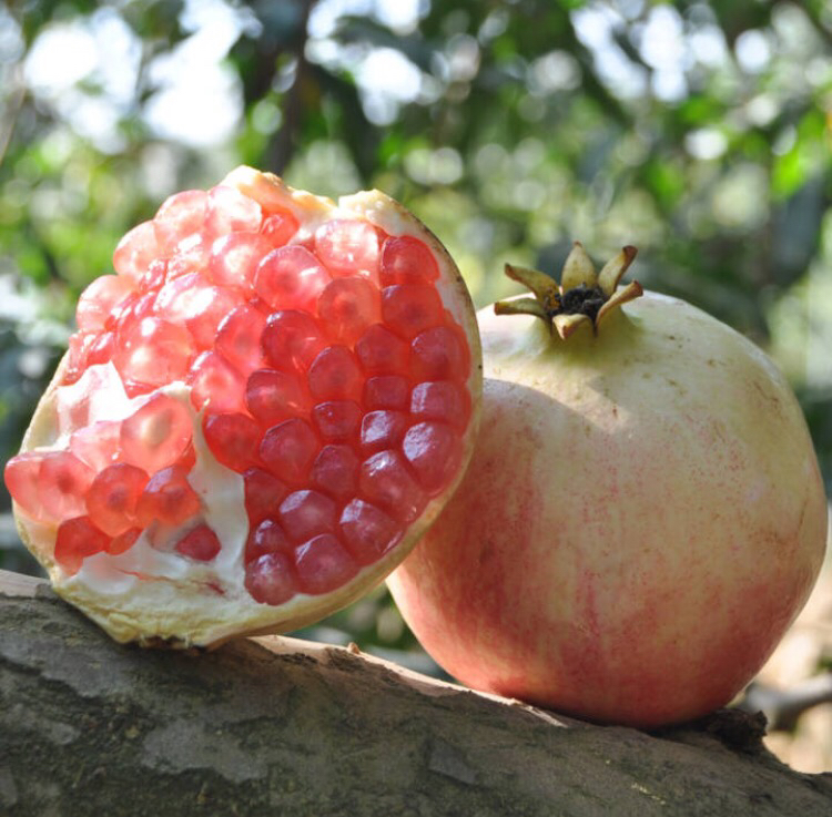 陕西西安临潼石榴 新鲜水果 当天现采 顺丰包邮