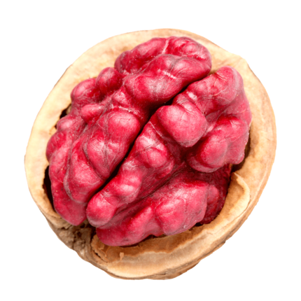 新疆野生血核桃(红皮核桃)