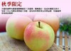 进口青森水蜜桃苹果🍏，JA相马村，香味扑鼻而来，松脆多汁，甜嫩爽口 商品缩略图3