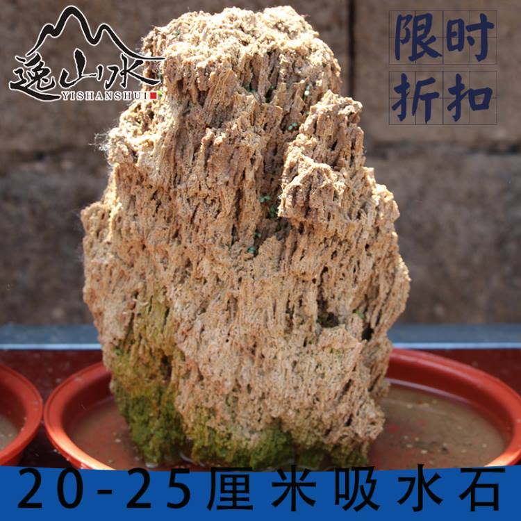 吸水石上水锈石假山盆景植物20cm厘米