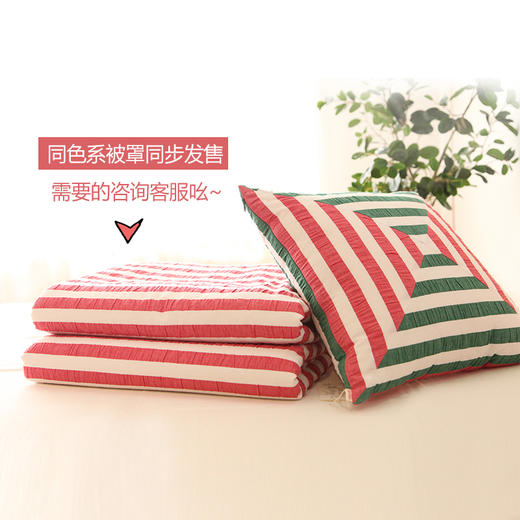 阳春小镇 丨沙发靠枕 泡泡棉 现代简约 透气性强 宠依系列 犹如爱宠盘在腿上，动也舍不得动 商品图3