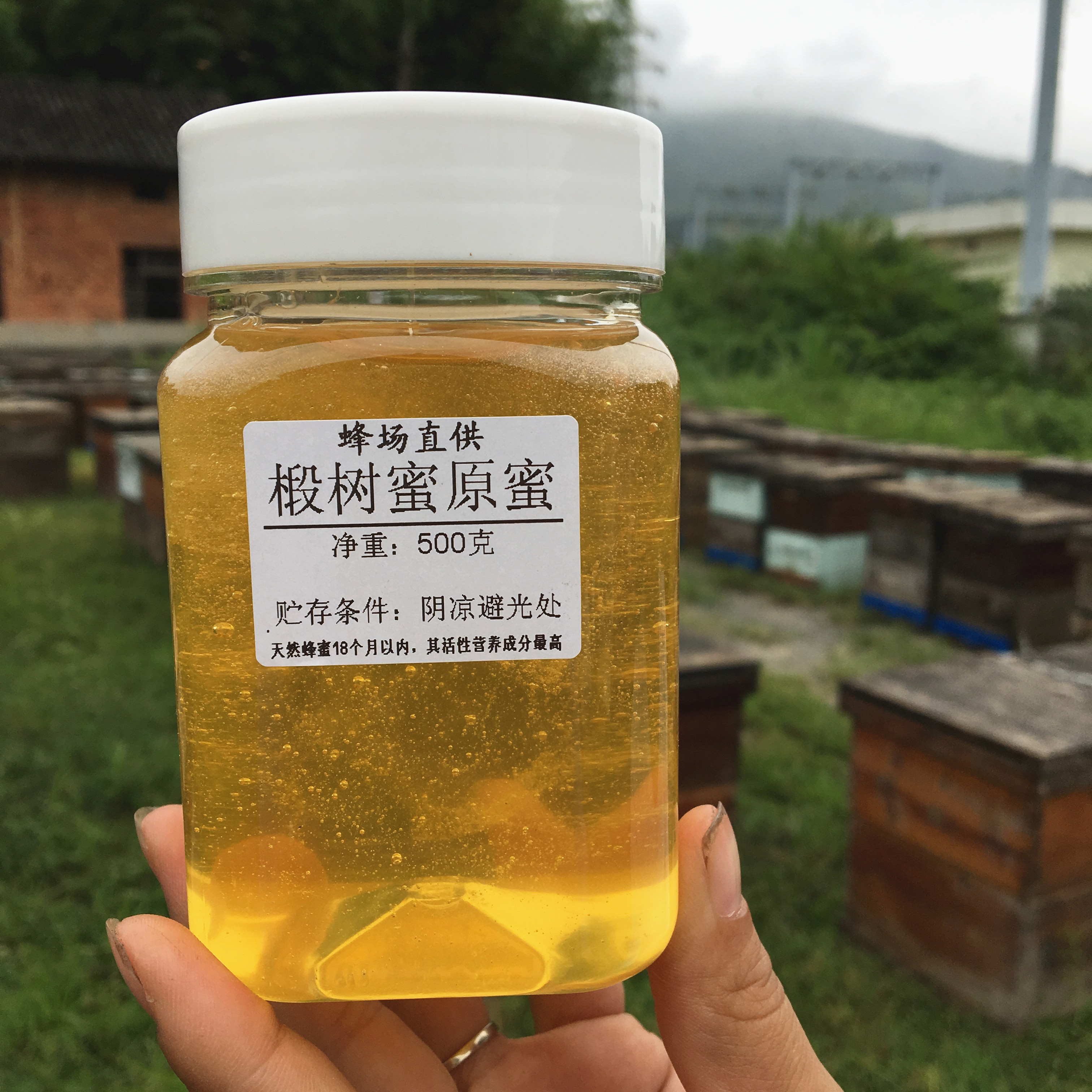 蜂王浆：舌尖上的健康密码