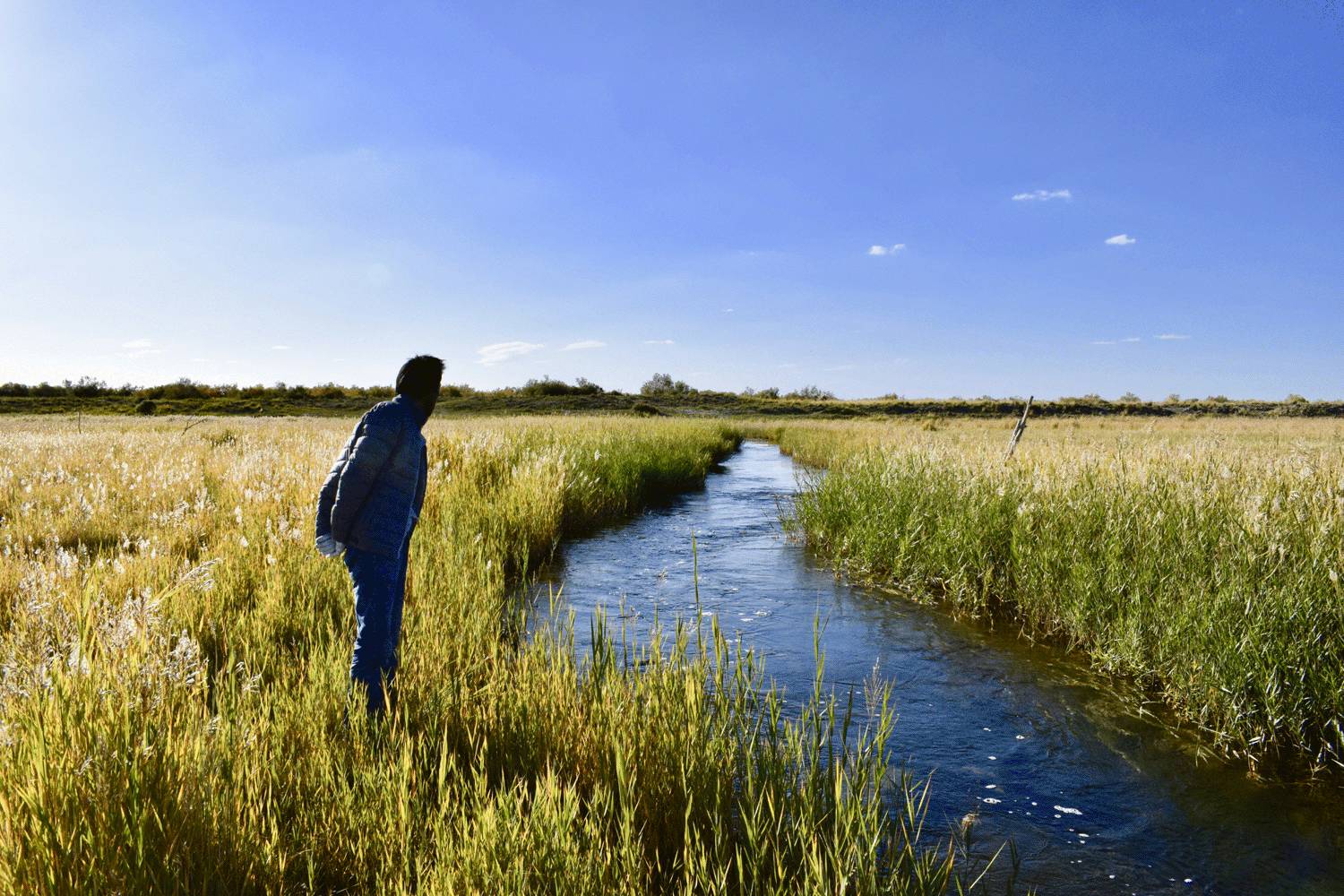 一条小河,清澈见底,河水是昆仑山的雪水.