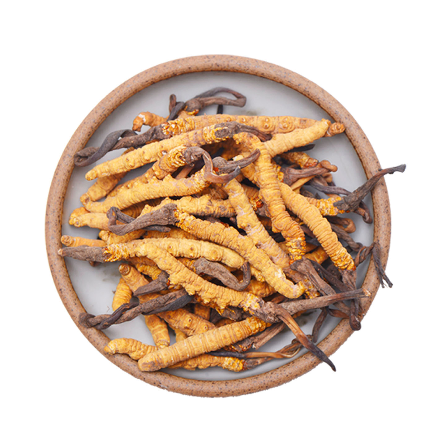 正宗野生西藏那曲冬虫夏草75g盒装 无断草