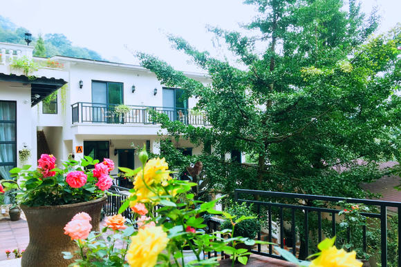 【沙村花坞】坐拥青城·卧观星辰,睡进山水间