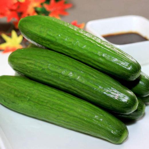 新鲜乳瓜 水果黄瓜 小黄瓜约一斤(蔬菜)