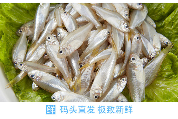 【杉亚鱼】29元/盒/斤 也叫三亚鱼_纯野生海鱼,营养价值高高!