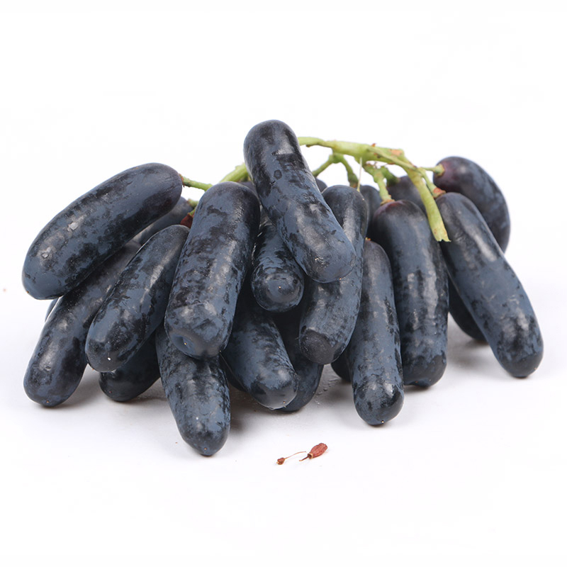 美国 美人指 无籽黑提