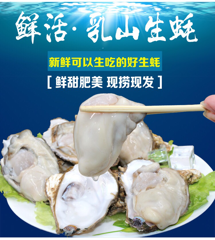 乳山牡蛎生蚝海蛎子顺丰包邮十斤装