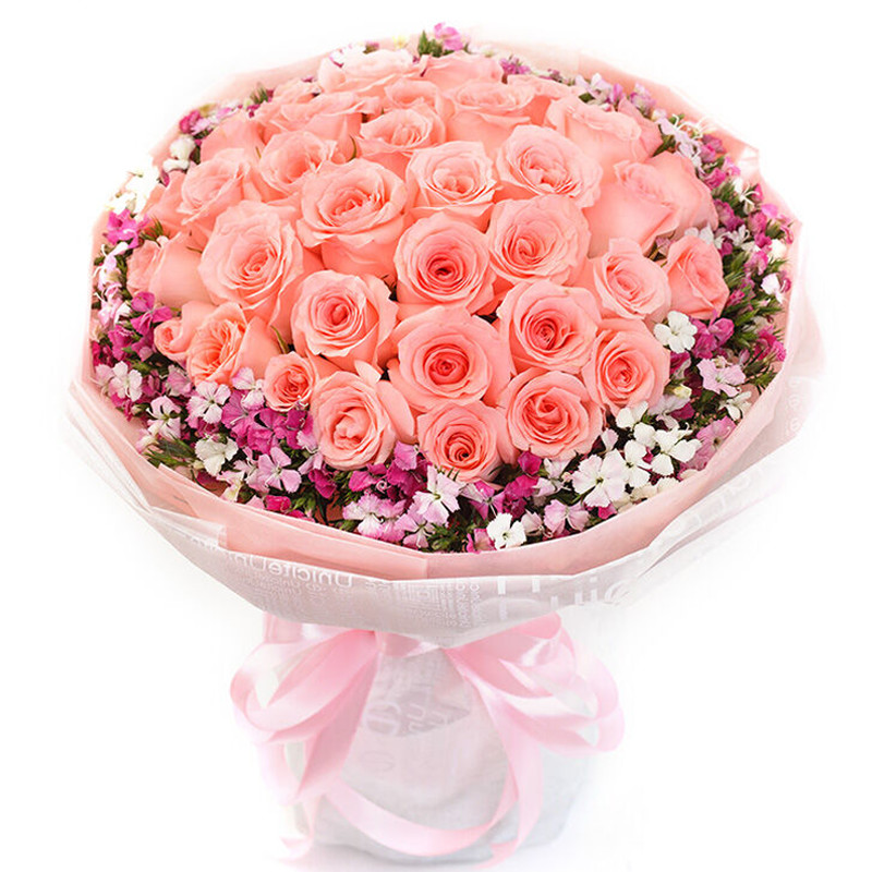 粉佳人-33支精品粉玫瑰 鲜花店送花订花预定鲜花同城配送