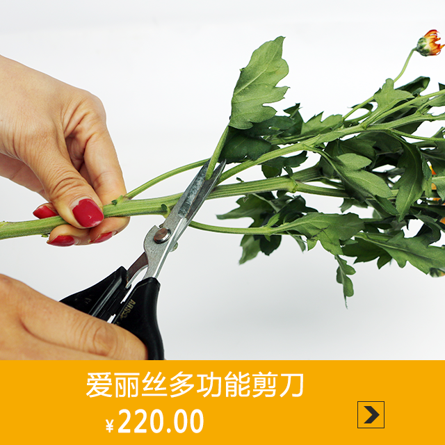 爱丽丝多功能剪刀