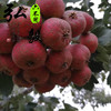 商品缩略图