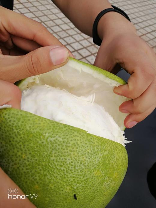 云峰脆香甜来自秦巴山脉大山深处的脆香甜2枚