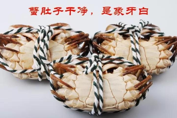 0两母!6-10只丨米其林专供 菊蟹堂阳澄湖 野生大闸蟹!