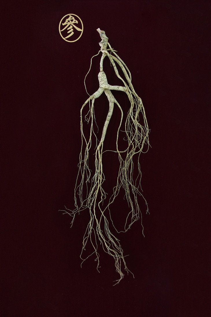 "咏芝元"桓仁一等一级野山参干人参 小抱抱半价还送好礼