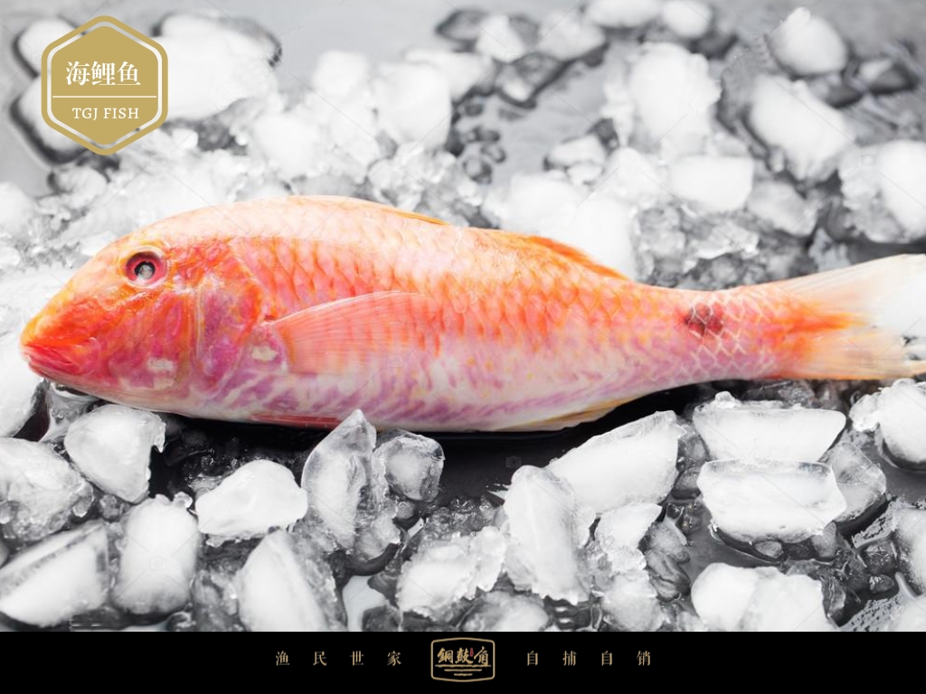 海鲤鱼48元\/斤- 铜鼓角