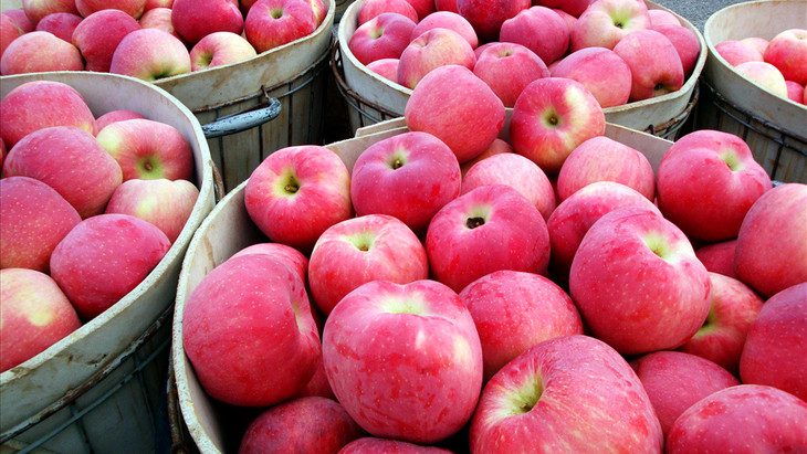 优格匠法式低糖百香苹果鲜果酱 passion fruit & apple