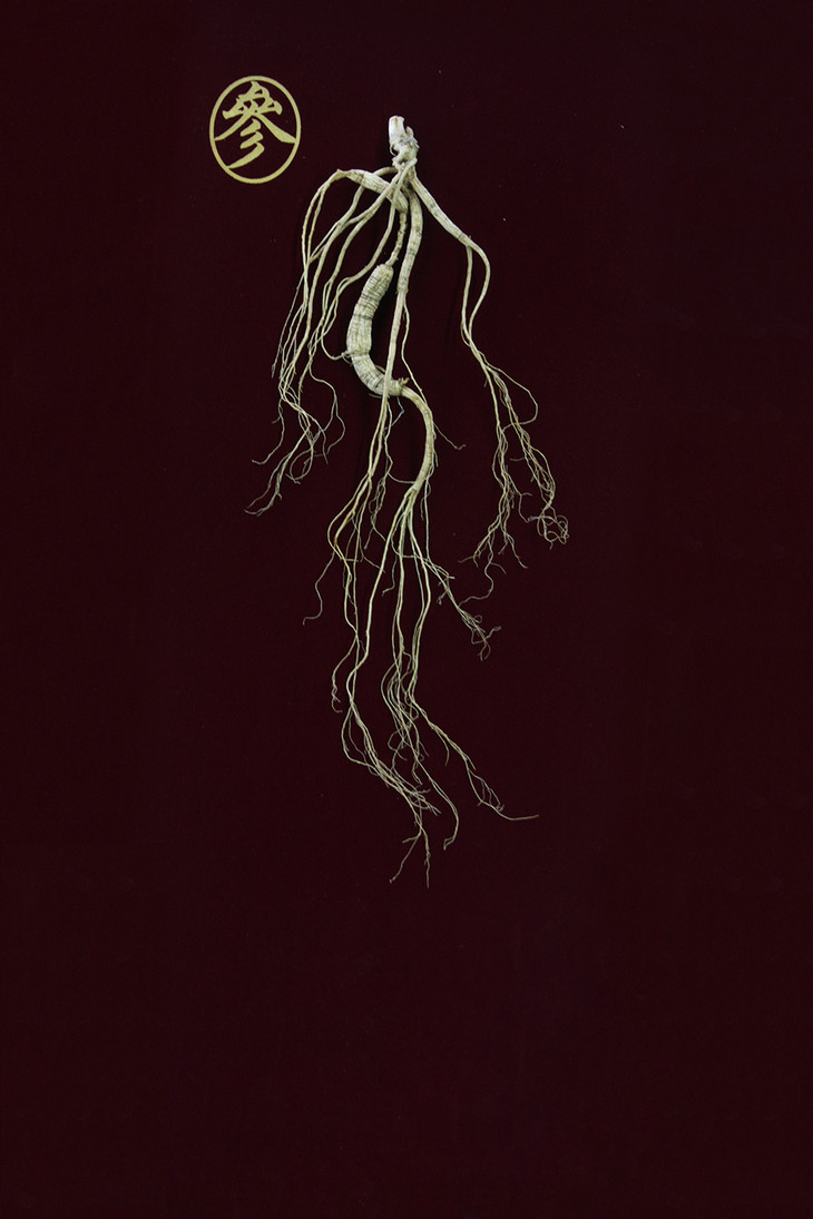 "咏芝元"桓仁一等二三四级野山参干人参 小抱抱半价送好礼