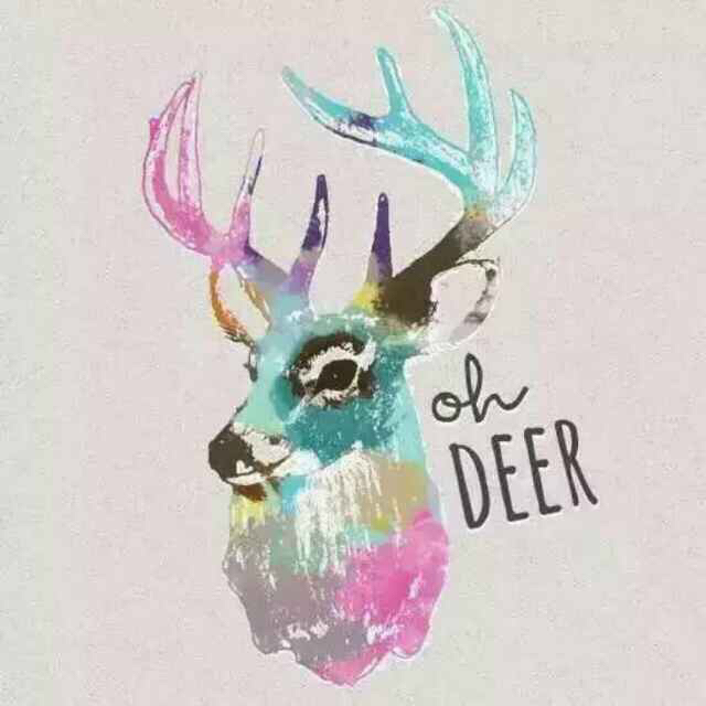 小鹿家微店250520