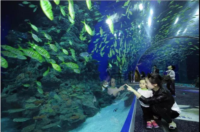 双流海滨城图片,双流海滨城,成都双流海滨城(第2页)_大山谷图库