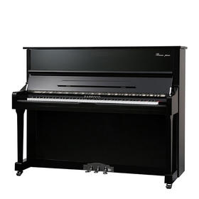 巴罗克(barroco)德国工艺 进口配件 立式钢琴sk-1