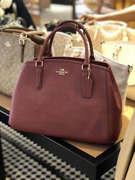 coach outlet 经典戴妃包