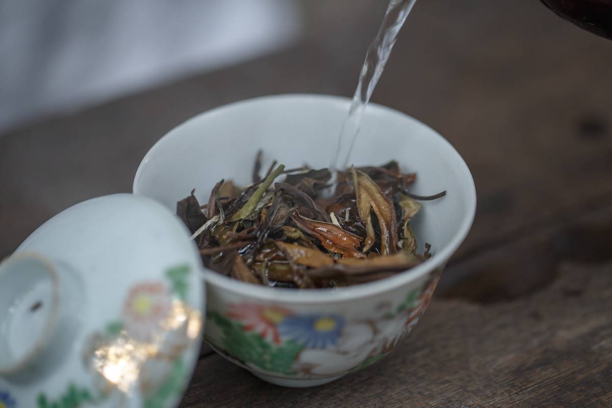 第三十一期『经典老贡眉』福鼎贡眉四年陈