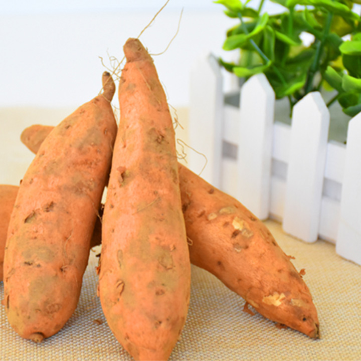 【贵州省内包邮】紫云县人民政府携手安顺邮政助力本地农产品电商化