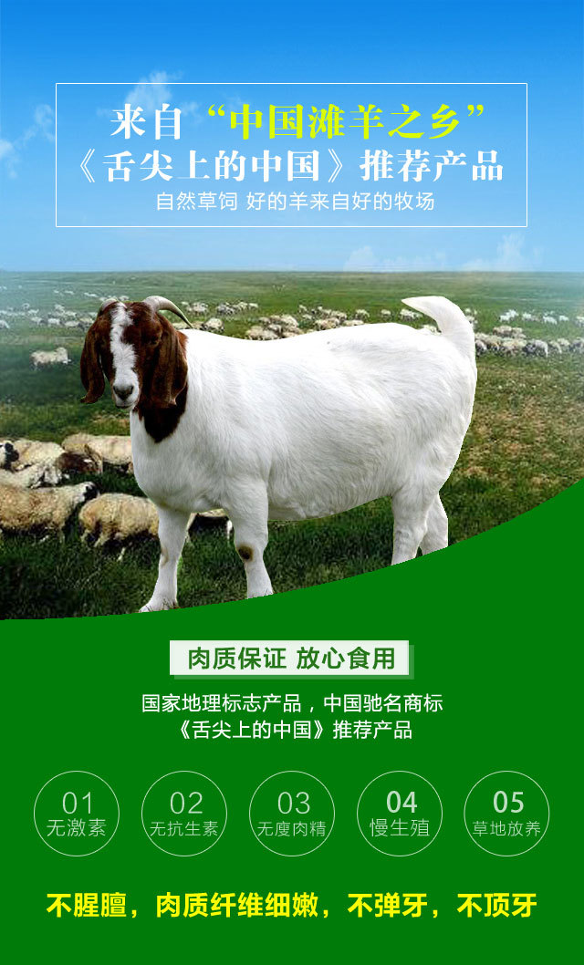 舌尖2推荐产品宁夏滩羊 羔羊手抓排1kg 无膻味