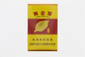 黄金叶（金满堂）