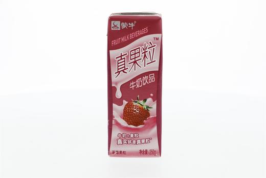 蒙牛真果粒牛奶饮品(草莓果粒)250g 商品图0