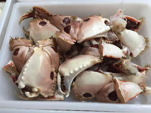 野生面包蟹脚.福建省内满200包邮,省外补拍运费差价,咨询客服