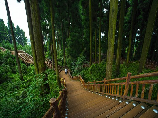 【七里坪温泉酒店】峨眉半山负氧离子丰富,地底优质硫温泉,住酒店 泡