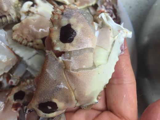 野生面包蟹脚.福建省内满200包邮,省外补拍运费差价,咨询客服