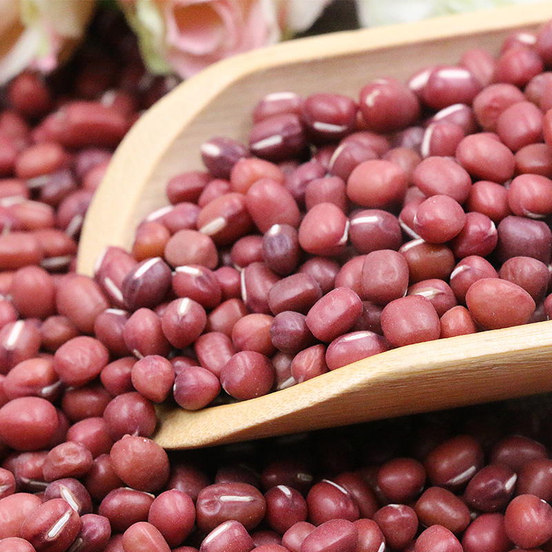 【五谷杂粮】红豆赤小豆子2500g 农家五谷杂粮 粗粮布袋装