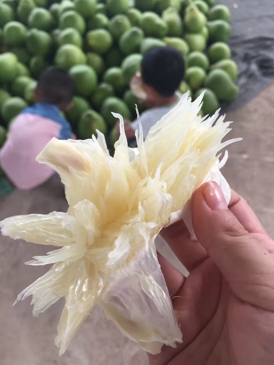 宏丰精选 南康甜柚 正宗赣南甜柚 沙田柚 斋婆柚 老少皆宜 零售4.